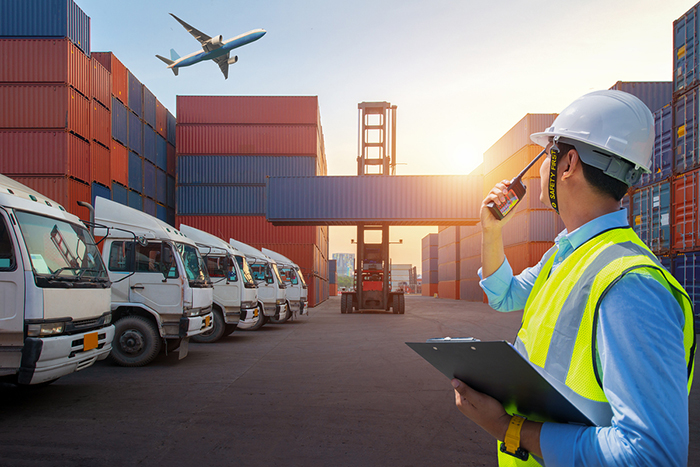 Importación y exportación internacional